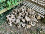 GRATIS Keien, Tuin en Terras, Grind, Keien en Split, Ophalen, Overige materialen, Gebruikt, Kei