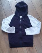 Hoodies/ Vesten S M L XL (Vanaf € 2.00), Ophalen of Verzenden, Gedragen, Maat 56/58 (XL), Blauw