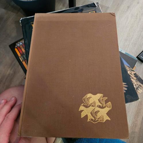 M.C. Escher Grafiek en Tekeningen, Boeken, Kunst en Cultuur | Fotografie en Design, Gelezen, Overige onderwerpen, Ophalen of Verzenden