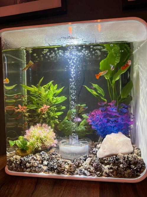 Biorb 30L, Dieren en Toebehoren, Vissen | Aquaria en Toebehoren, Zo goed als nieuw, Leeg aquarium, Ophalen
