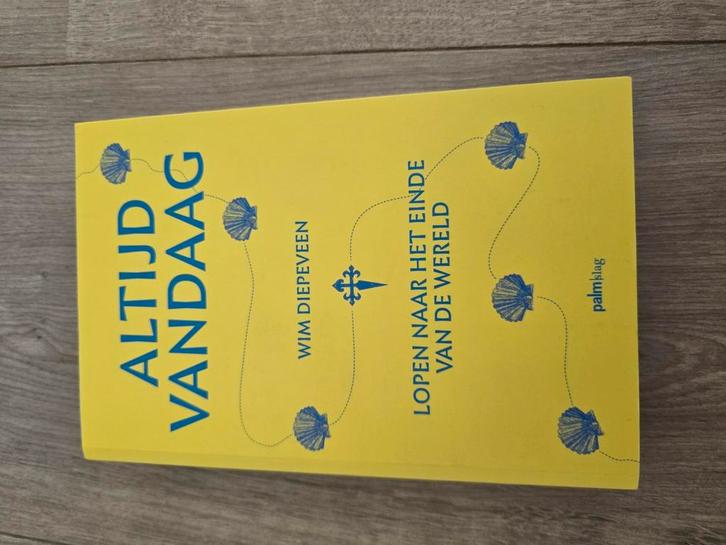 Wim Diepeveen - Altijd vandaag, Boeken, Overige Boeken, Zo goed als nieuw, Ophalen of Verzenden