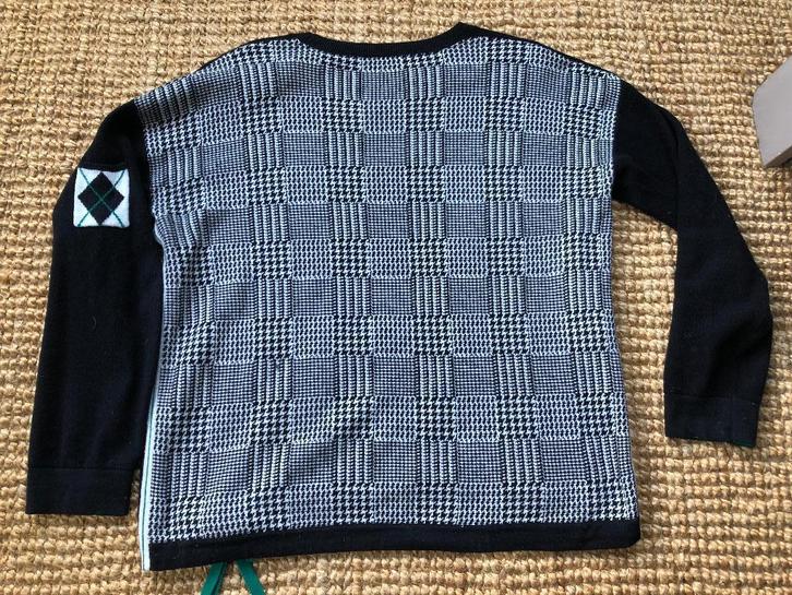 Dames trui zwart met ruitpatroon aan achterzijde maat L, Kleding | Dames, Truien en Vesten, Zo goed als nieuw, Maat 42/44 (L)