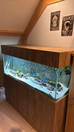 Prachtig 150*50*50 aquarium met visbestand, Ophalen of Verzenden, Zo goed als nieuw, Leeg aquarium