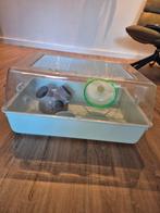 Hamsterkooi, Dieren en Toebehoren, Kooi, Gebruikt, 60 tot 90 cm, Minder dan 75 cm