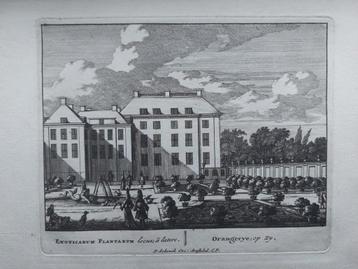 3 / Exoticarum Plantarum - Orangery te Den Haag Oude gravure beschikbaar voor biedingen