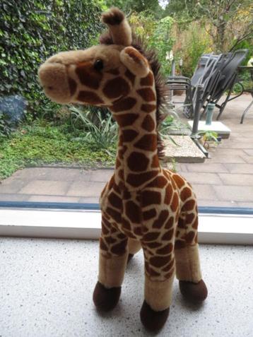 Giraffe of giraf merk PIA International Soft Toys velours beschikbaar voor biedingen