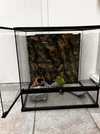Nog superstaat! Het Exo Terra Pro Terrarium 60x45x60, Dieren en Toebehoren, Reptielen en Amfibieën | Toebehoren, Ophalen of Verzenden