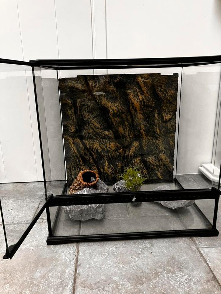 Nog superstaat! Het Exo Terra Pro Terrarium 60x45x60, Dieren en Toebehoren, Reptielen en Amfibieën | Toebehoren, Zo goed als nieuw