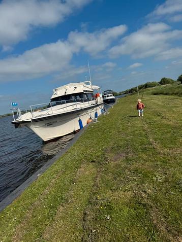 Cytra 42 senator snelvarende kruiser beschikbaar voor biedingen