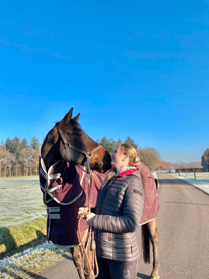 BIJRIJDER AANGEBODEN, Dieren en Toebehoren, Paarden en Pony's | Verzorgingsproducten, Zo goed als nieuw, Ophalen of Verzenden