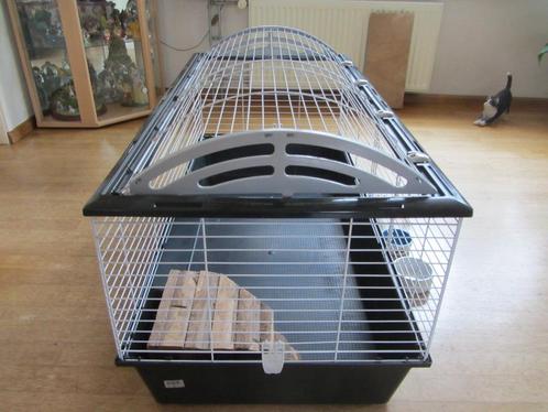 cavia of konijnenkooi, Dieren en Toebehoren, Knaagdieren en Konijnen | Hokken en Kooien, Zo goed als nieuw, Kooi, Minder dan 60 cm