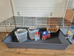 Binnenhok voor knaagdier(en), Dieren en Toebehoren, Kooi, Cavia, Ophalen, Minder dan 60 cm