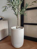 Bloempot kwantum Dijom off whitr, Ophalen, 40 cm of meer, Rond, Tuin