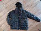 Winterjas Vans maat L, Ophalen of Verzenden, Zo goed als nieuw, Zwart