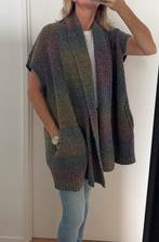Grijs mouwloos vest Dtlm maat 36, Kleding | Dames, Truien en Vesten, Ophalen of Verzenden, Grijs, Gedragen, Don’t label me