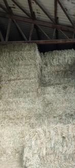 Duits Kruidenhooi | Suikarm | Weidehooi | Laag suiker |, Ophalen, Vee