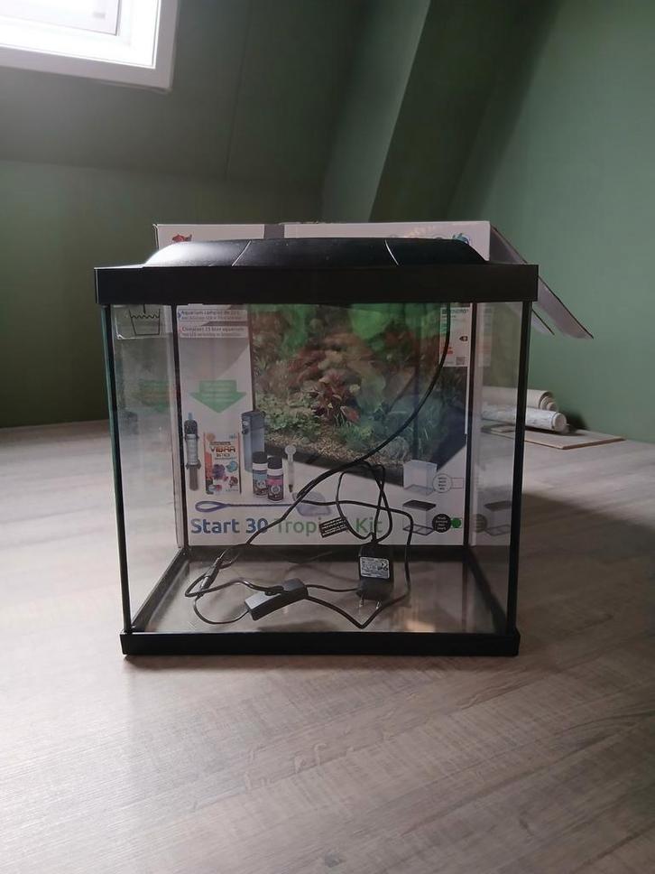 aquarium, Dieren en Toebehoren, Vissen | Aquariumvissen, Vis