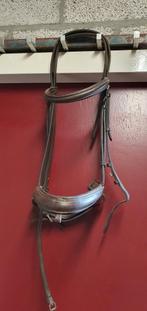 Hoofdstellen, Dieren en Toebehoren, Ophalen of Verzenden, Zo goed als nieuw, Dressuur