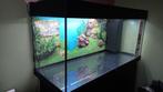 Aquarium met onderkast (180 liter), Dieren en Toebehoren, Ophalen, Zo goed als nieuw, Leeg aquarium