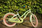 Kinderfiets Alpina ocean 20 inch blossom green, Fietsen en Brommers, Fietsen | Kinderfietsjes, Alpina, 20 inch of meer, Gebruikt