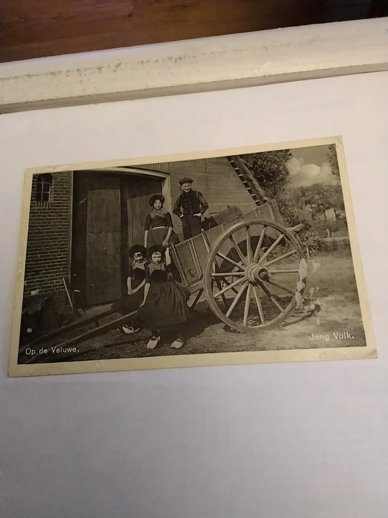 OP DE VELUWE.    JONG VOLK, Ophalen of Verzenden, Voor 1920, Klederdracht