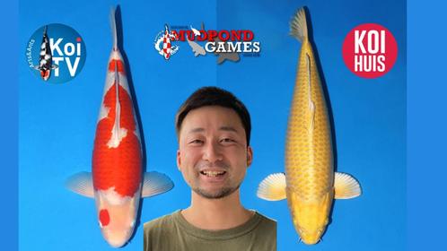 izumiya koi yamabuki azukari, Dieren en Toebehoren, Vissen | Vijvervissen, Karper of Koi