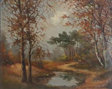 LANDSCHAP MET BOMEN EN WATER>OUD 1950🖌JAN VAN VLAARDINGEN beschikbaar voor biedingen