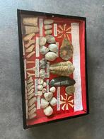 Fossielen uit Marokko, Verzamelen, Mineralen en Fossielen, Ophalen, Fossiel