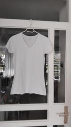 Wit t shirt nieuw Zeeman S, Kleding | Dames, Maat 38/40 (M), Wit, Nieuw, Ophalen of Verzenden