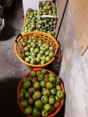 Stoofperen Brederode beschikbaar voor biedingen