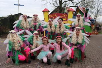 Fee Carnavalspak loopgroep/carnavalswagen beschikbaar voor biedingen