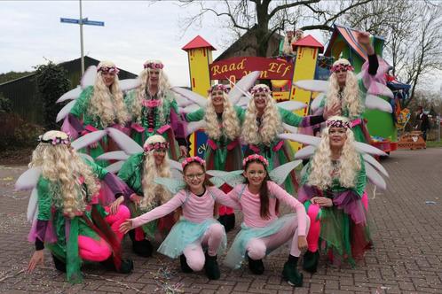 Fee Carnavalspak loopgroep/carnavalswagen, Kinderen en Baby's, Carnavalskleding en Verkleedspullen, Zo goed als nieuw, Ophalen of Verzenden