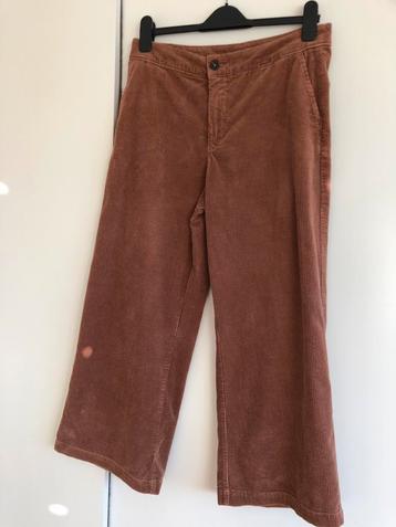 C&A Bruine Corduroy Broek M beschikbaar voor biedingen