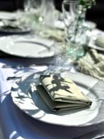 Tafel decoratie /servies verhuur | babyshower, lunch, diner, Hobby en Vrije tijd, Feestartikelen | Verhuur, Ophalen, Zo goed als nieuw