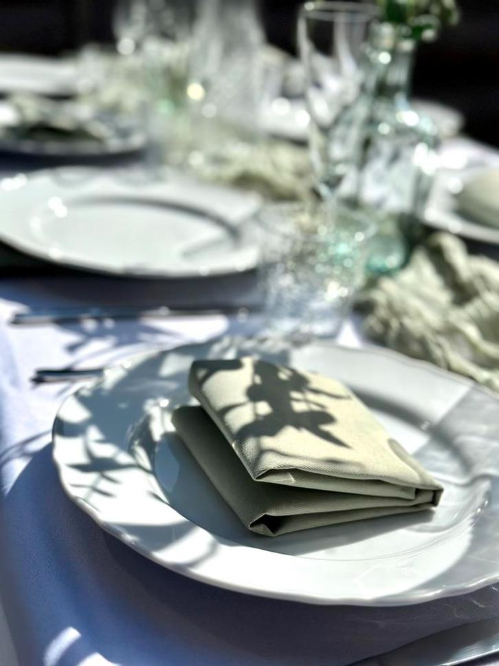 Tafel decoratie /servies verhuur | babyshower, lunch, diner, Hobby en Vrije tijd, Feestartikelen | Verhuur, Zo goed als nieuw