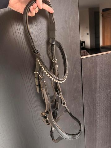 Anatomisch Hoofdstel van Ascot maat full beschikbaar voor biedingen