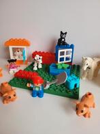 Lego duplo pakket groot, Kinderen en Baby's, Speelgoed | Duplo en Lego, Ophalen of Verzenden, Zo goed als nieuw, Duplo