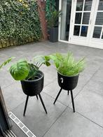 2 kunstplanten plantenbak compleet, Ophalen of Verzenden