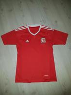 Wales heren voetbalshirt in size medium, Ophalen of Verzenden, Zo goed als nieuw, Shirt