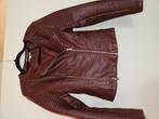 Mooi bordeauxrode jasje mt M, Kleding | Dames, Ophalen of Verzenden, Zo goed als nieuw, Maat 38/40 (M), Rood