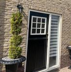 Eikenhout voordeur 2 delig, Ophalen of Verzenden, Gebruikt, Hout