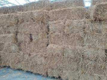 STRO te koop beschikbaar voor biedingen