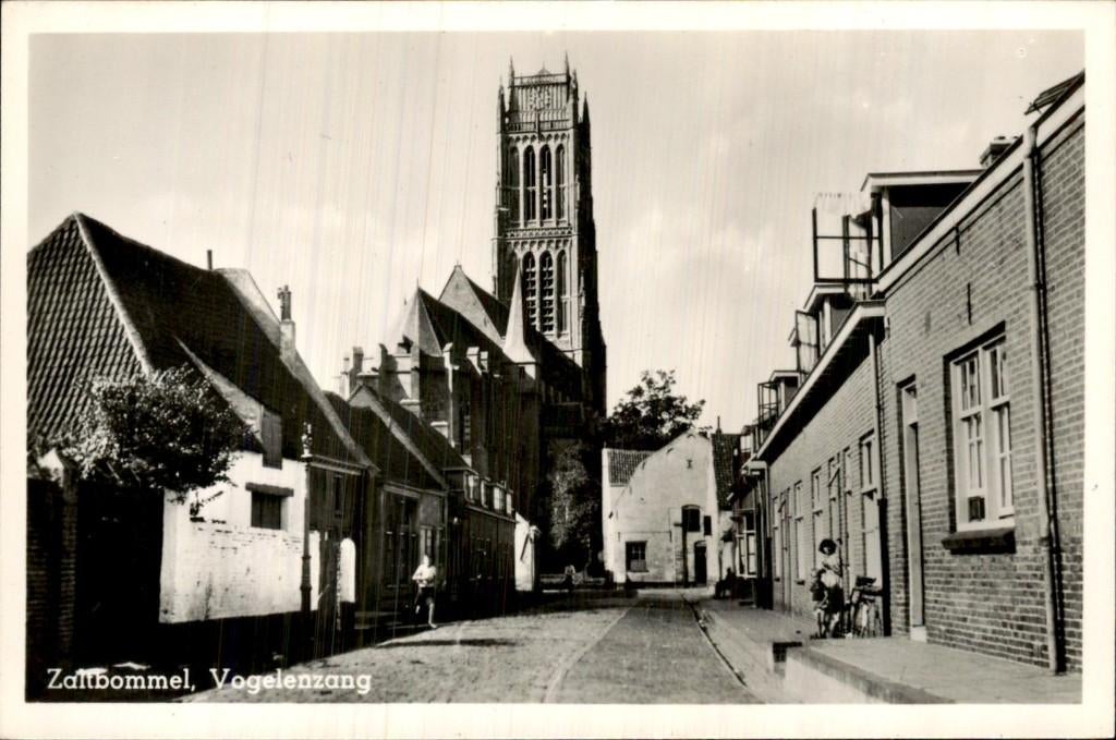 Zaltbommel- Vogelenzang, Ophalen of Verzenden, Voor 1920, Gelopen, Gelderland