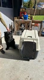 Bench grote hond, volledig demontabel, Dieren en Toebehoren, Ophalen of Verzenden, Zo goed als nieuw