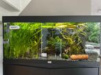 Aquarium ter overname, Ophalen, Zo goed als nieuw, Gevuld zoetwateraquarium