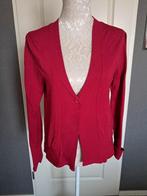 Vest Question Kleur : Rood Maat : L, Kleding | Dames, Maat 38/40 (M), Ophalen of Verzenden, Zo goed als nieuw, Rood
