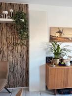 Ikea Pax Vikanes Deur zonder scharnieren, wit, 50x236 cm, Ophalen, Zo goed als nieuw