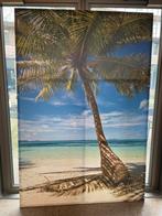Canvas schilderij 165x245! Palmboom aan strand, Foto of Poster, Gebruikt, 125 cm of meer, Ophalen
