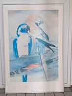 Ara      schilderij, Dieren en Toebehoren, Vrouwelijk, Papegaai