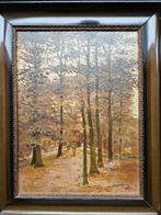 Schilderij van D. Ooijevaar uit 1925, Antiek en Kunst, Kunst | Schilderijen | Klassiek, Ophalen